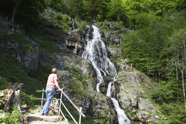 Todtnau Waterfall, Todtnauer Wasserfall, Todtnauberger Wasserfall, Hangloch-Wasserfall, Southern Black Forest, High Black Forest, Black Forest, Baden-Wuerttemberg, Germany, Europe