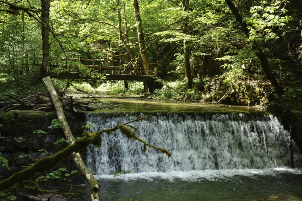 Waterfall, weir, hiking trail, Gauchachschlucht, Schluchtensteig, Gauchach, southern Baar, Baden-Württemberg, Germany, Europe