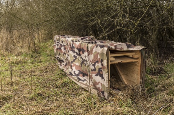 NSG Südliche Leineaue, Laatzen, live trap for catching nutrias (Myocastor coypus) on the bank of the Alte Leine