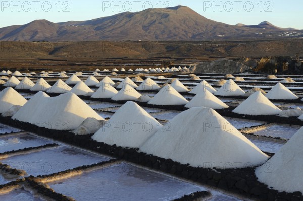 Salinas de Janubio, salt flats, Lanzarote, Canary Islands, Spain, Europe