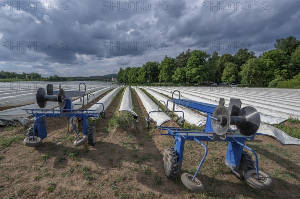 Foil lifter in front of an asparagus field covered with foil, Eckental, Middle Franconia, Bavaria, Germany, Europe