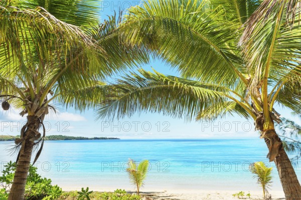 Tropical beach, Drawaqa Island, Yasawa island group, Fiji, South Pacific islands, Pacific, Oceania