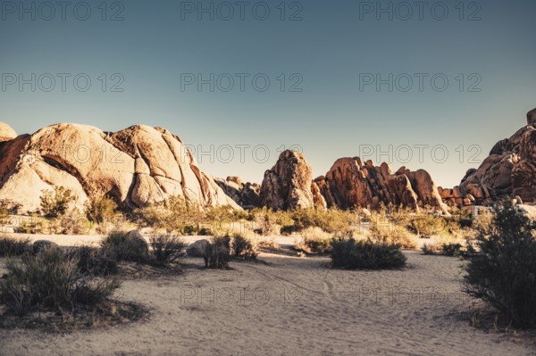 Joshua Tree National Park
