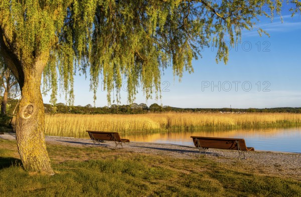 Landscape at the harbour of Sellin, Rügen, Mecklenburg-Vorpommern, Germany, Europe