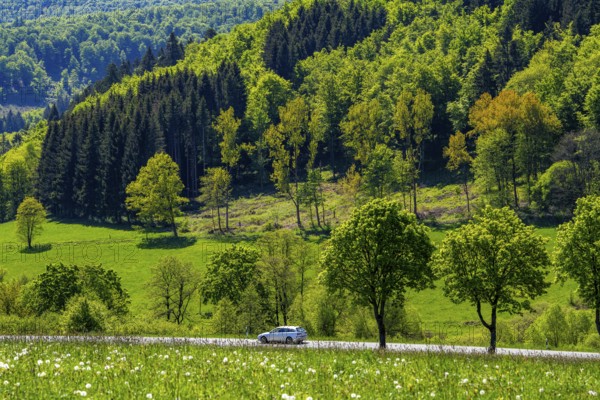 Country road in the Orketal, near Elkeringhausen, a district of Winterberg in the Hochsauerlandkreis, Spring, North Rhine-Westphalia, Germany, Europe