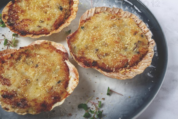 Scallop shells, stuffed, baked with cheese, in the oven, julienne with scallops