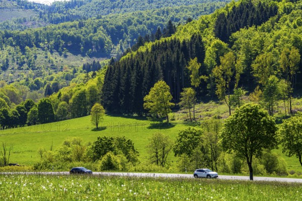 Country road in the Orketal, near Elkeringhausen, a district of Winterberg in the Hochsauerlandkreis, Spring, North Rhine-Westphalia, Germany, Europe
