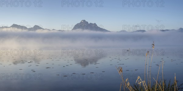 Sunrise at Lake Hopfensee near Füssen, with the Tegelberg massif and the Säuling behind it, Ostallgäu, Allgäu, Upper Swabia, Swabia, Bavaria, Germany, Europe