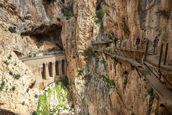 View of a viaduct and hikers on the Caminito del Rey path, embedded in a rocky gorge, Malaga, Spain, Europe