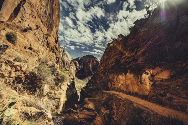 Zion National Park