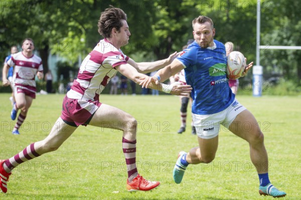Rugby 1st Bundesliga South/West, Season 2024/25, Matchday 14: SC Neuenheim vs RSV Köln***Neuenheim on the way to a try