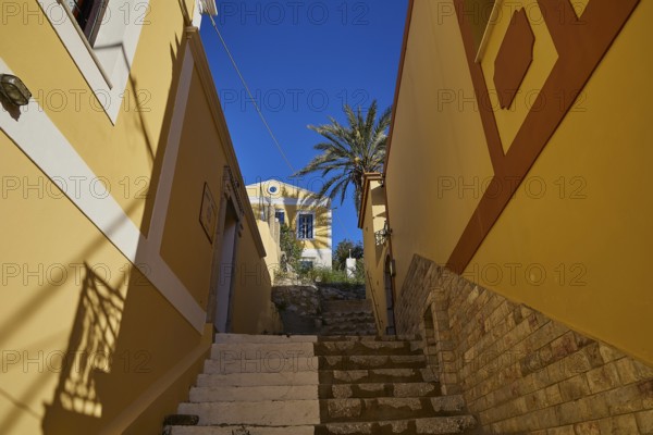 Narrow alley with steps between yellow buildings, with a palm tree and sunny sky, Symi Town, Symi, Dodecanese, Greek Islands, Greece, Europe