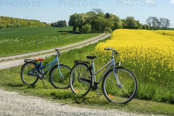 Two bicycles parked by small country roads by rapeseed fields in Sjörup, Ystad municipality, Skåne county, Sweden, Scandinavia, Europe