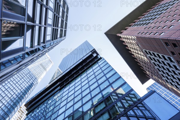 Frankfurt skyline skyscrapers buildings banks modern work offices in Frankfurt, Germany, Europe
