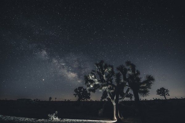 Starry sky with the Milky Way in Joshua Tree National Park