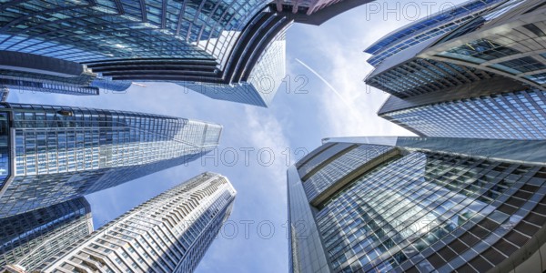 Frankfurt skyline skyscrapers buildings banks modern work offices panorama in Frankfurt, Germany, Europe