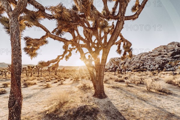 Woman at sunset in Joshua Tree National Park