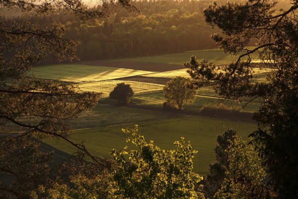Landscape in the Black Forest, evening in May, Baden-Württemberg, Germany, Europe