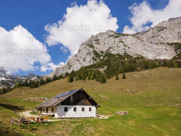 Halsalm, above the Reiteralpe, Ramsau bei Berchtesgaden, Berchtesgadener Land, Upper Bavaria, Bavaria, Germany, Europe