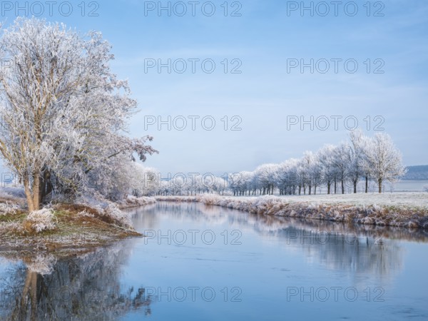 The river Unstrut in the Unstrut valley in winter, trees on the banks covered with hoarfrost, Memleben, Saxony-Anhalt, Germany, Europe