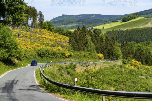 Kleine Landstraße, Hartmeckestraße, above Brunskappel, district of Oldsberg in the Hochsauerlandkreis, North Rhine-Westphalia, Germany, Europe