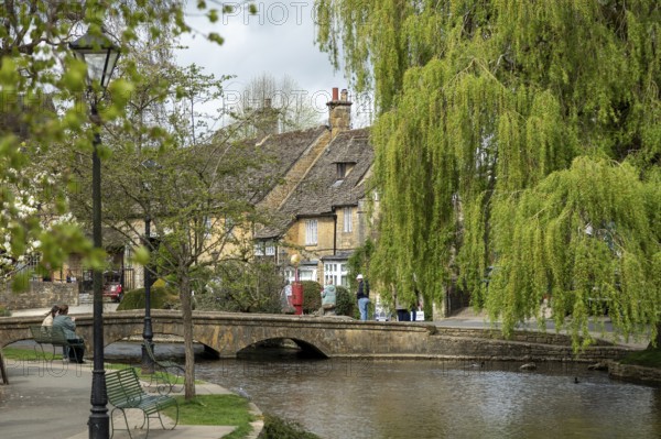 Bridge, River Windrush, houses, trees, Bourton-on-the-Water, The Cotswolds, Gloucestershire, England, Great Britain