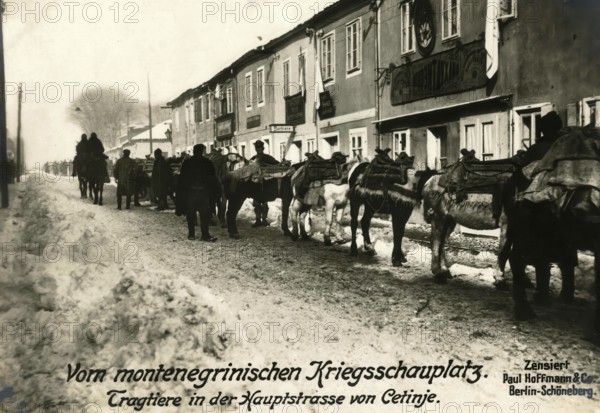 From the Montenegrin theatre of war. Pack animals in the main street of Cetinje, 1914 - 1918, World War I, reproduction of a war postcard