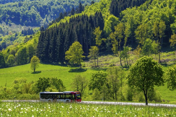 Local bus, RB48, on the country road in the Orketal, near Elkeringhausen, a district of Winterberg in the Hochsauerlandkreis, spring, North Rhine-Westphalia, Germany, Europe