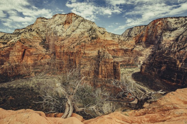 Zion National Park
