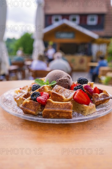 Waffles with ice cream and berries served outside on a terrace, Cafehäusle Calw, Black Forest, Germany, Europe