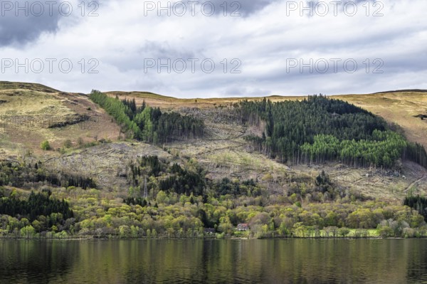 Farm and mountains, Loch Earn, Southern Highlands, Scotland, United Kingdom, Europe