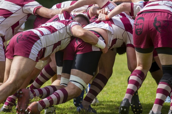 Rugby 1st Bundesliga South/West, Season 2024/25, Matchday 14: SC Neuenheim vs RSV Köln***Scrum. In the picture the players of Cologne