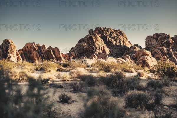 Joshua Tree National Park