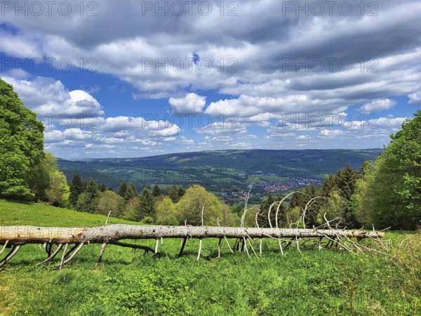An idyllic landscape with a tree trunk lying across a green meadow. The meadow is interspersed with yellow flowers, giving the picture a lively variety of colours. A dense forest of coniferous and deciduous trees rises in the background, and behind it lies a valley with a small settlement, framed by rolling hills and mountains. The sky, clear and blue with scattered white clouds, emphasises the peaceful atmosphere. This picture captures the natural beauty and tranquillity of the surroundings