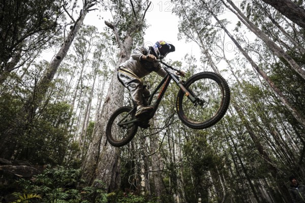 MAYDENA, AUSTRALIA, FEBRUARY 23: Remy Morton of Australia during seeding in Red Bull Hardline Tasmania on February 23, 2024 in Maydena, Australia, Oceania