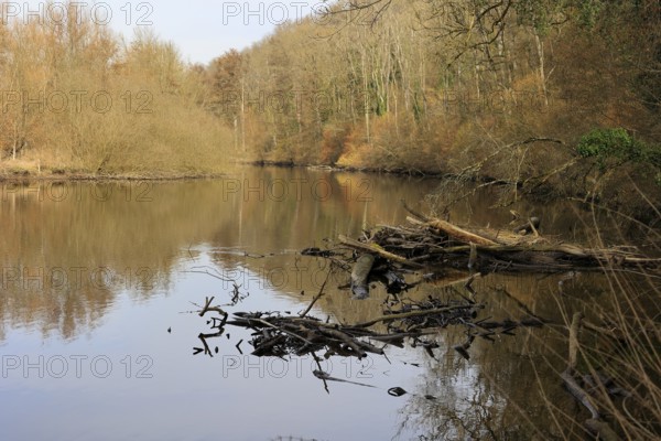Idyllic river Enz near Untermberg near Ludwigsburg