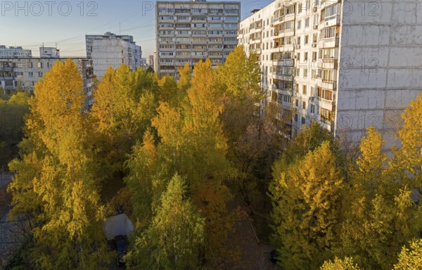 Sunlit yellowed trees in the sleeping area. Moscow, Teply Stan, view from the window of the house into the courtyard. Sunny day in October