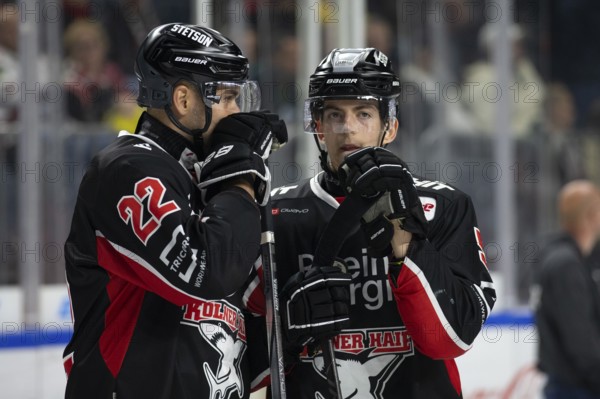 LanxessArena, Cologne, North Rhine-Westphalia, Robin van Calster (Cologne Sharks, #5), Maximilian Gloetzl (Cologne Sharks, #22), PENNY DEL, Cologne Sharks- Nuremberg Ice Tigers on 27/09/2024 at the LanxessArena in Cologne Germany .Photo