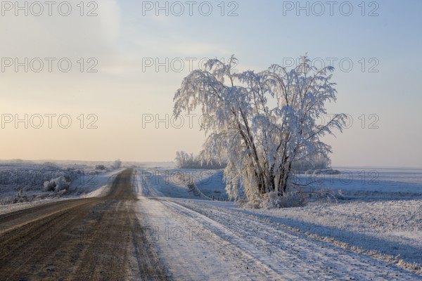 Winter Frost Saskatchewan Canada ice storm danger