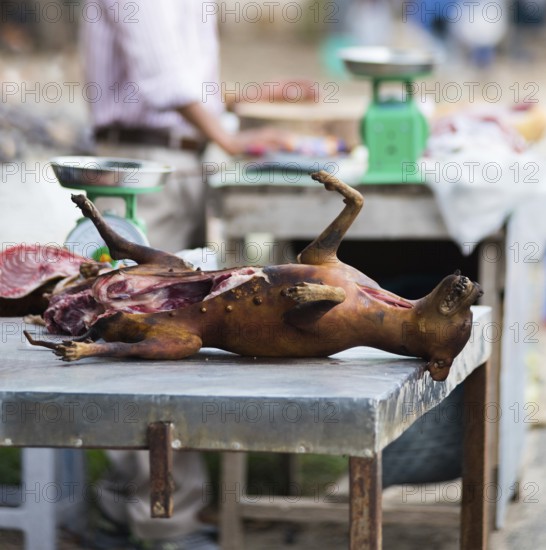 Dog meat for sale at market in Vietnam