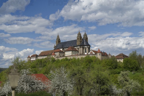 View of the Comburg, Benedictine monastery, Way of St James, Schwäbisch Hall, Hohenlohe, Germany, Kochertal, Kocher, Europe