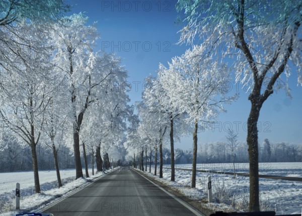 Fürstenallee, Ochsenhausen, Baden-Württemberg, Germany, snow, winter, Europe
