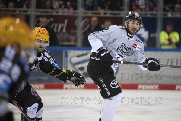 Eisarena Bremerhaven, Bremerhaven, Bremen, Maximilian Gloetzl (Koelner Haie, #22), PENNY DEL, Fischtown Pinguins-Kölner Haie on 16.03.2025 at the Eisarena Bremerhaven in Bremerhaven Germany