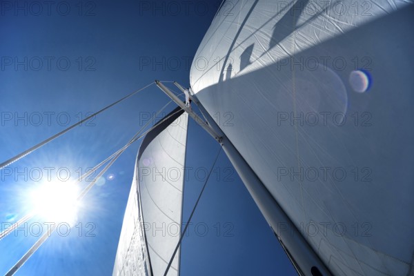 Sail of a sailing yacht in the wind while sailing on the sea