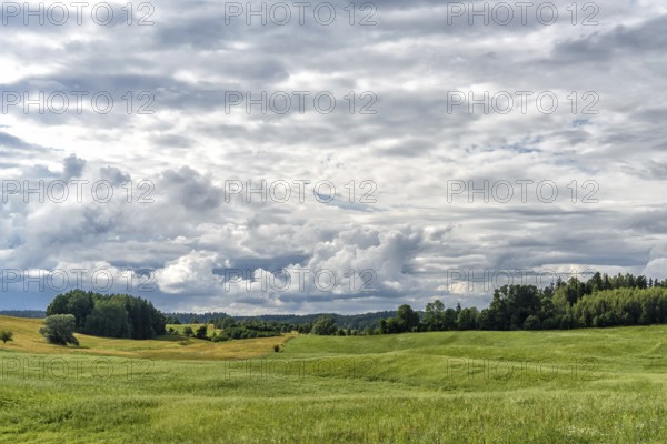 Masuria