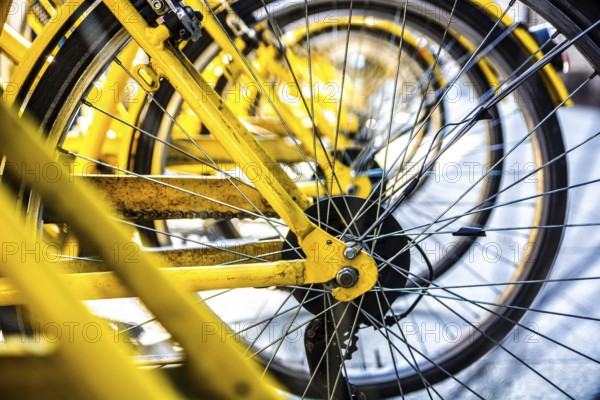 Yellow bike', s wheel in row outdoor. Close-up