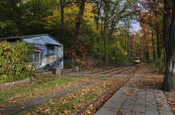 Germany, Berlin, 26.10.2024, Historic tram from Rahnsdorf (stop) to Woltersdorf Schleuse, arrival, Europe