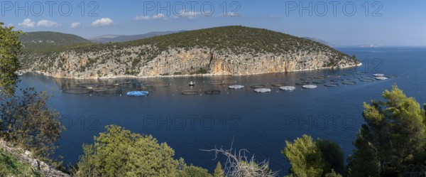 A panorama view of a small ocean cove on the coast of the Peloponnese in Greece with aquaculture fish culture nets and maintenance boat