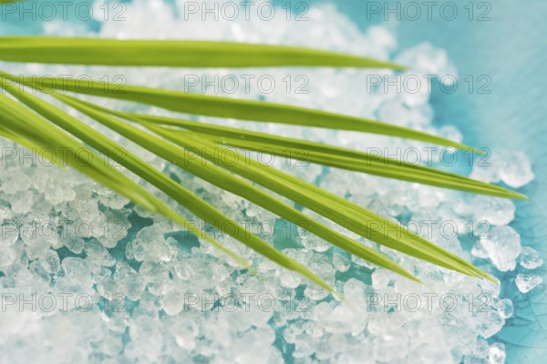 Bath salt and palm leaf