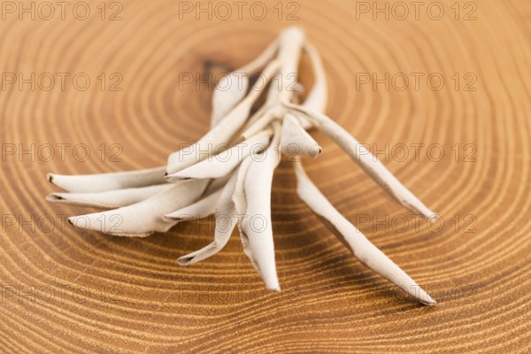 Dried white sage